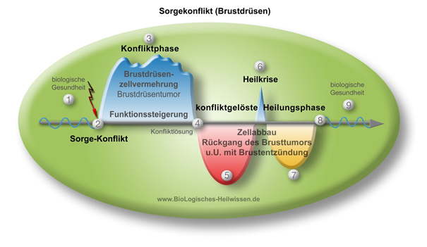 Infografik: Sorgekonflikt